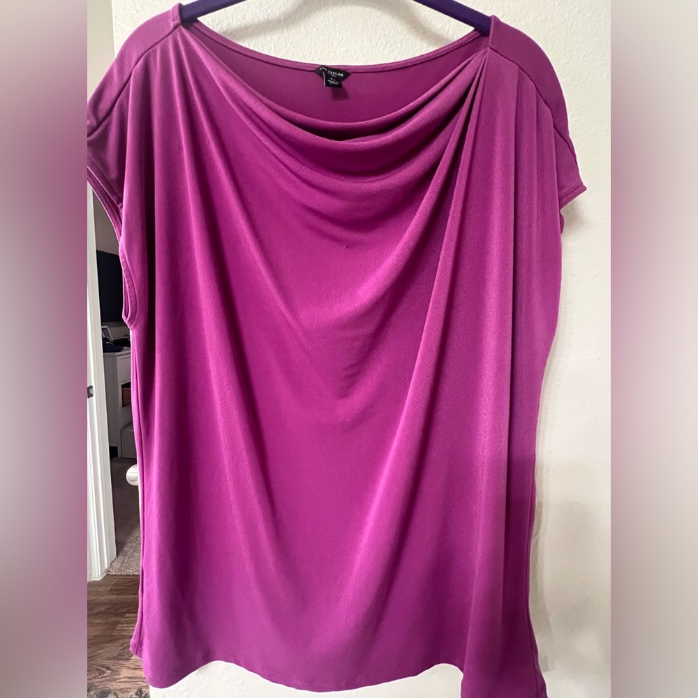 Ann Taylor Magenta Top